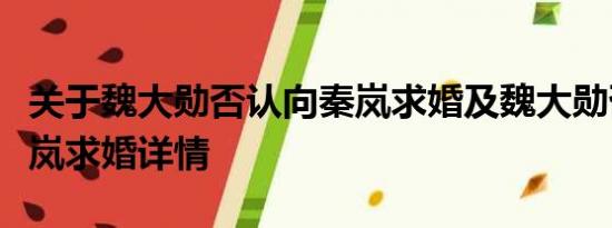 关于魏大勋否认向秦岚求婚及魏大勋否认向秦岚求婚详情