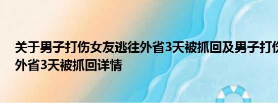 关于男子打伤女友逃往外省3天被抓回及男子打伤女友逃往外省3天被抓回详情