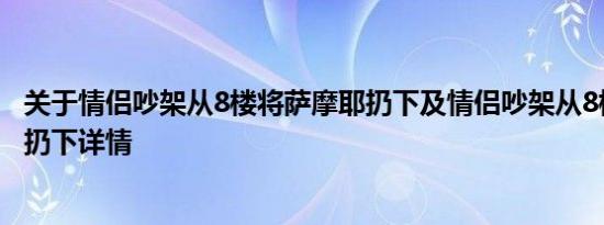 关于情侣吵架从8楼将萨摩耶扔下及情侣吵架从8楼将萨摩耶扔下详情