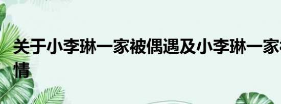 关于小李琳一家被偶遇及小李琳一家被偶遇详情