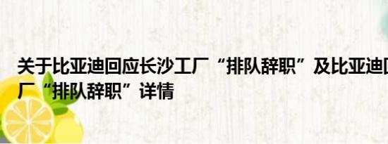 关于比亚迪回应长沙工厂“排队辞职”及比亚迪回应长沙工厂“排队辞职”详情