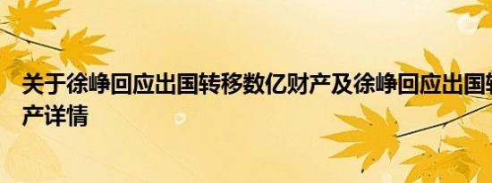 关于徐峥回应出国转移数亿财产及徐峥回应出国转移数亿财产详情