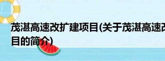 茂湛高速改扩建项目(关于茂湛高速改扩建项目的简介)