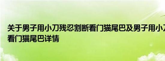 关于男子用小刀残忍割断看门猫尾巴及男子用小刀残忍割断看门猫尾巴详情