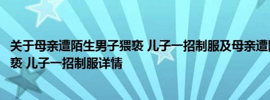 关于母亲遭陌生男子猥亵 儿子一招制服及母亲遭陌生男子猥亵 儿子一招制服详情