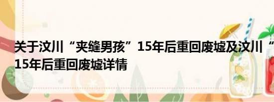 关于汶川“夹缝男孩”15年后重回废墟及汶川“夹缝男孩”15年后重回废墟详情