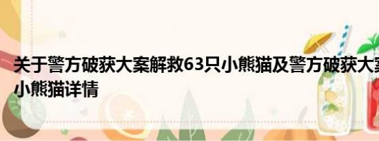 关于警方破获大案解救63只小熊猫及警方破获大案解救63只小熊猫详情