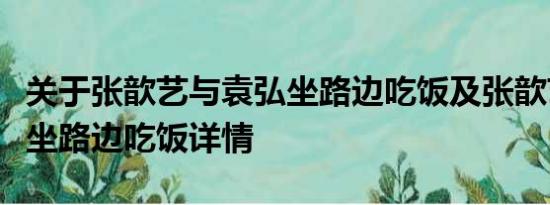 关于张歆艺与袁弘坐路边吃饭及张歆艺与袁弘坐路边吃饭详情