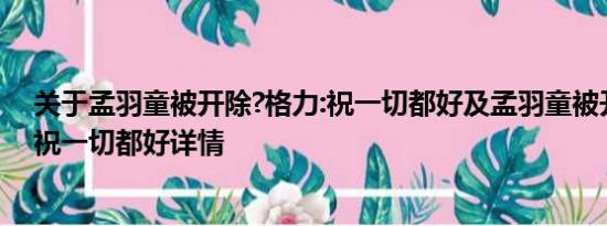 关于孟羽童被开除?格力:祝一切都好及孟羽童被开除?格力:祝一切都好详情