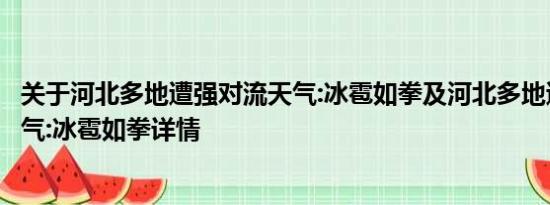 关于河北多地遭强对流天气:冰雹如拳及河北多地遭强对流天气:冰雹如拳详情