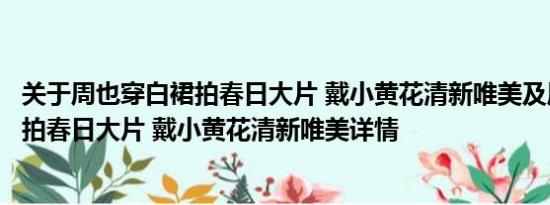 关于周也穿白裙拍春日大片 戴小黄花清新唯美及周也穿白裙拍春日大片 戴小黄花清新唯美详情