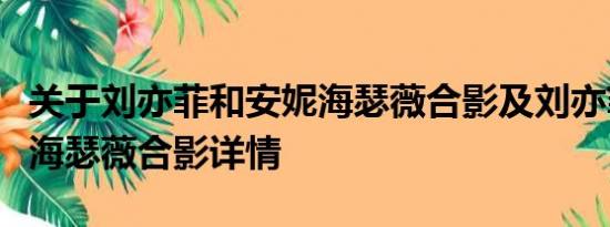 关于刘亦菲和安妮海瑟薇合影及刘亦菲和安妮海瑟薇合影详情