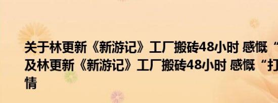 关于林更新《新游记》工厂搬砖48小时 感慨“打工不易”及林更新《新游记》工厂搬砖48小时 感慨“打工不易”详情