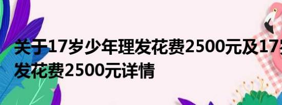 关于17岁少年理发花费2500元及17岁少年理发花费2500元详情