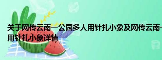 关于网传云南一公园多人用针扎小象及网传云南一公园多人用针扎小象详情