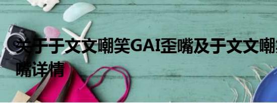 关于于文文嘲笑GAI歪嘴及于文文嘲笑GAI歪嘴详情