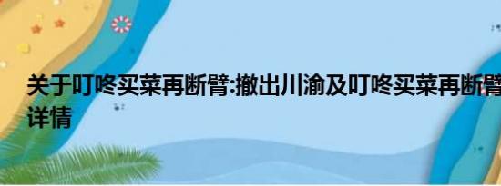 关于叮咚买菜再断臂:撤出川渝及叮咚买菜再断臂:撤出川渝详情