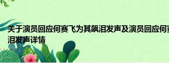 关于演员回应何赛飞为其飙泪发声及演员回应何赛飞为其飙泪发声详情