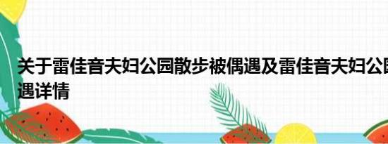 关于雷佳音夫妇公园散步被偶遇及雷佳音夫妇公园散步被偶遇详情