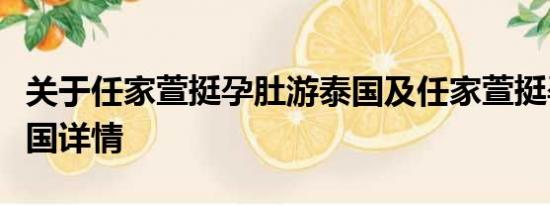 关于任家萱挺孕肚游泰国及任家萱挺孕肚游泰国详情