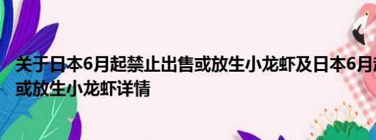 关于日本6月起禁止出售或放生小龙虾及日本6月起禁止出售或放生小龙虾详情