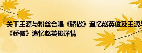 关于王源与粉丝合唱《骄傲》追忆赵英俊及王源与粉丝合唱《骄傲》追忆赵英俊详情