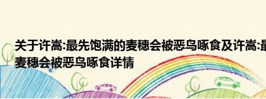 关于许嵩:最先饱满的麦穗会被恶鸟啄食及许嵩:最先饱满的麦穗会被恶鸟啄食详情