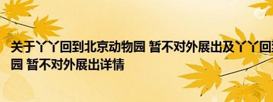 关于丫丫回到北京动物园 暂不对外展出及丫丫回到北京动物园 暂不对外展出详情