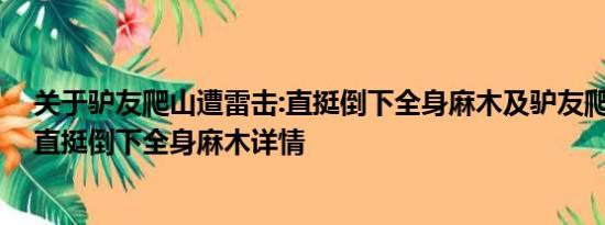 关于驴友爬山遭雷击:直挺倒下全身麻木及驴友爬山遭雷击:直挺倒下全身麻木详情