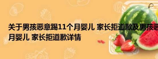 关于男孩恶意踢11个月婴儿 家长拒道歉及男孩恶意踢11个月婴儿 家长拒道歉详情