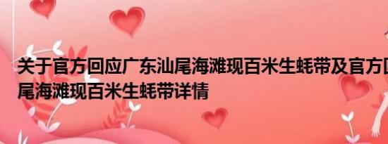 关于官方回应广东汕尾海滩现百米生蚝带及官方回应广东汕尾海滩现百米生蚝带详情