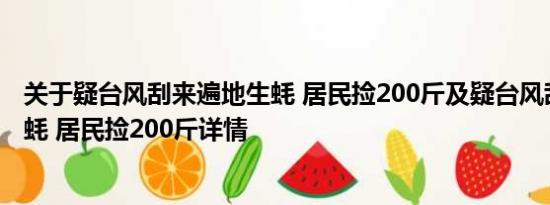 关于疑台风刮来遍地生蚝 居民捡200斤及疑台风刮来遍地生蚝 居民捡200斤详情