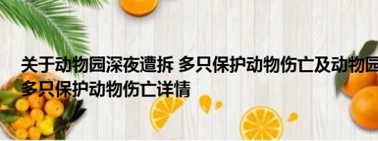 关于动物园深夜遭拆 多只保护动物伤亡及动物园深夜遭拆 多只保护动物伤亡详情