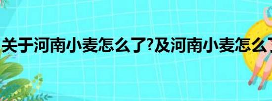 关于河南小麦怎么了?及河南小麦怎么了?详情