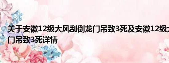 关于安徽12级大风刮倒龙门吊致3死及安徽12级大风刮倒龙门吊致3死详情