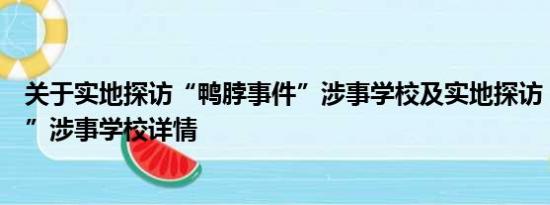 关于实地探访“鸭脖事件”涉事学校及实地探访“鸭脖事件”涉事学校详情