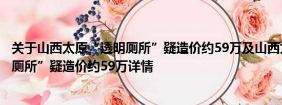 关于山西太原“透明厕所”疑造价约59万及山西太原“透明厕所”疑造价约59万详情