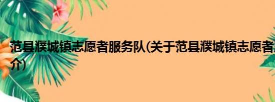 范县濮城镇志愿者服务队(关于范县濮城镇志愿者服务队的简介)