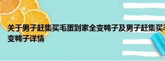 关于男子赶集买毛蛋到家全变鸭子及男子赶集买毛蛋到家全变鸭子详情