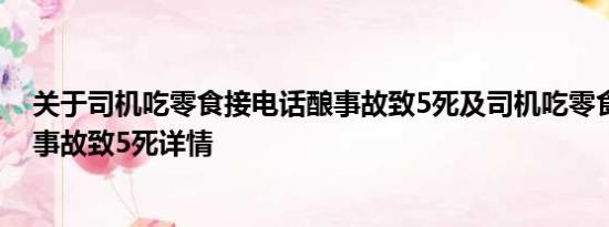 关于司机吃零食接电话酿事故致5死及司机吃零食接电话酿事故致5死详情