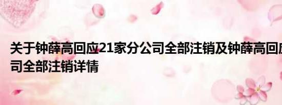 关于钟薛高回应21家分公司全部注销及钟薛高回应21家分公司全部注销详情