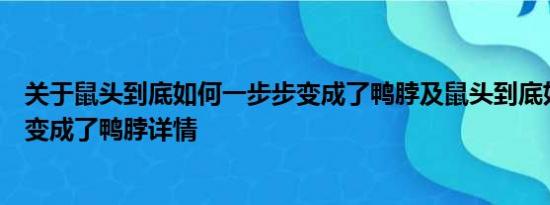 关于鼠头到底如何一步步变成了鸭脖及鼠头到底如何一步步变成了鸭脖详情