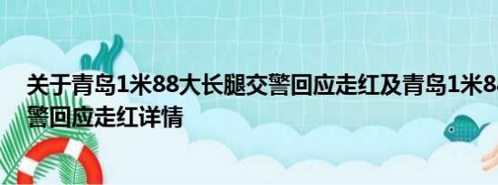 关于青岛1米88大长腿交警回应走红及青岛1米88大长腿交警回应走红详情