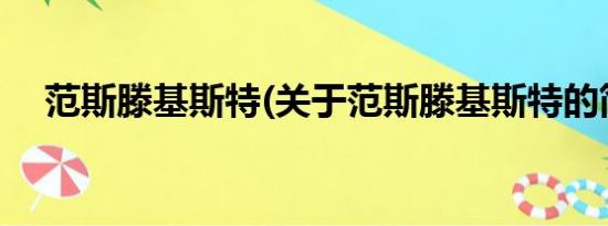 范斯滕基斯特(关于范斯滕基斯特的简介)