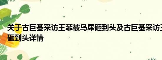 关于古巨基采访王菲被鸟屎砸到头及古巨基采访王菲被鸟屎砸到头详情