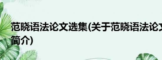 范晓语法论文选集(关于范晓语法论文选集的简介)