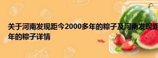 关于河南发现距今2000多年的粽子及河南发现距今2000多年的粽子详情