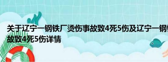 关于辽宁一钢铁厂烫伤事故致4死5伤及辽宁一钢铁厂烫伤事故致4死5伤详情