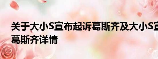 关于大小S宣布起诉葛斯齐及大小S宣布起诉葛斯齐详情