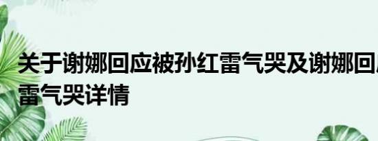 关于谢娜回应被孙红雷气哭及谢娜回应被孙红雷气哭详情